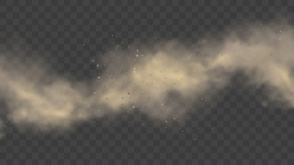 Poster - White or gray smoke, realistic mist or dust motion, cloud on transparent background or fog in light. Cigarette or spray effect. Spooky steam or vapor. Space nebula or atmosphere. Pollution and exhaust