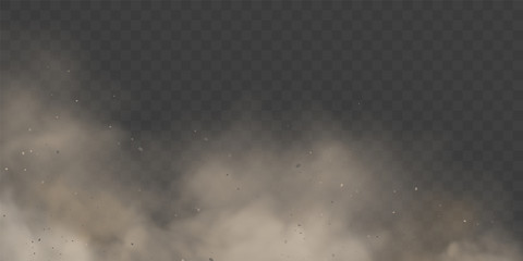 cloud condensation or white smoke on transparent background. mystical fog or spooky mist backdrop. d