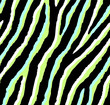 Seamless acid green and lime zebra pattern 80s 90s style.Fashionable colorful exotic animal print