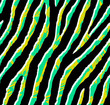 Seamless acid green and yellow zebra tropical pattern 80s 90s style.Fashionable colorful exotic animal print
