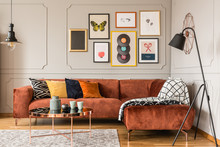 Gallery Of Trendy Posters In Elegant Grey Living Room Interior With Brown Corner Sofa