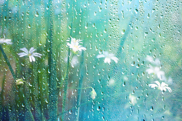 Wall Mural - summer rain wet glass / abstract background landscape on a rainy day outside the window blurred back