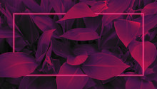 Futuristic Background In Retro Style 80s, Neon Glow, Tropical Leaves In Ultraviolet Color