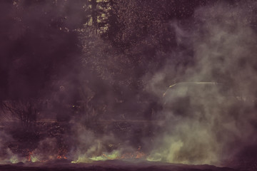 Wall Mural - fire in the field / fire in the dry grass, burning straw, element, nature landscape, wind