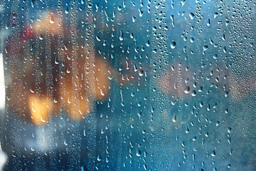 Wall Mural - rain window autumn park branches leaves yellow / abstract autumn background, landscape in a rainy wi