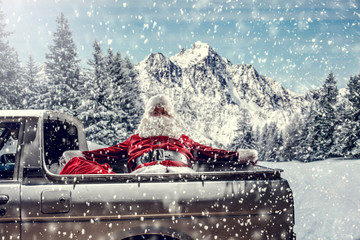 Wall Mural - Bearded in red clothes sits on the back of a white truck.Santa distributes gifts for children.Landscape of mountains and winter forest covered with snow and frost.Christmas time.Copy space.Snowflakes 