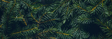 Christmas Tree Branches. The Concept Of The New Year, Christmas, Nature. Banner. Flat Lay, Top View