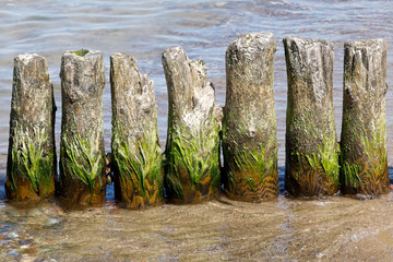 Sticker - Already old groyne in sea waters