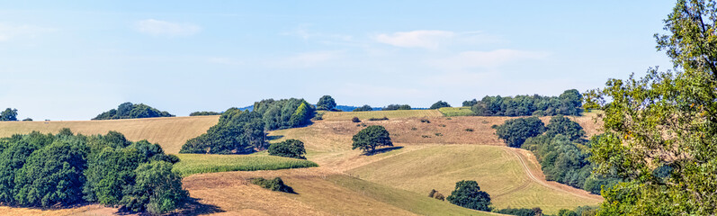 Canvas Print - Sunny day in Winkworth Arboretum park, Godalming, Surrey, United Kingdom