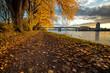 Rheinbrücke Worms am Rhein im Herbst mit Blättern bei tief stehender Sonne 