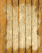The Background Image Of Old Boards Covered With Peeling Yellow Paint From Under Which Boards With A Metallic Gold Sheen Come Out