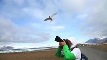 The Photographer Takes A Gang Of Birds On The Coast Of Atlantic Ocean. Location Iceland, Europe.