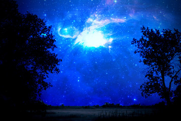 Wall Mural - the stars in the sky above the wild nature field landscape. elements of this image furnished by nasa