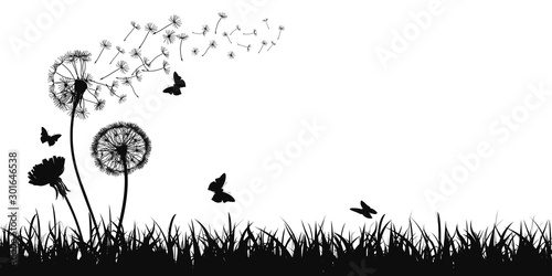 Abstract black dandelion silhouette, flying seeds of dandelion, butterfly, gr...