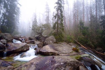 Wall Mural - Cold stream in Great Cold Valley  in Slovakia