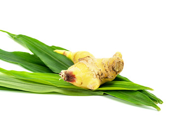 Canvas Print - closeup fresh ginger on white background