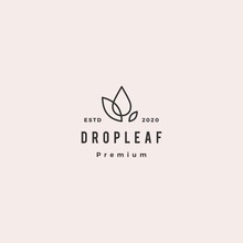 Drop Leaf Logo Hipster Retro Vintage Vector Icon