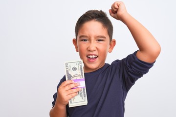 Poster - Beautiful kid boy holding dollars standing over isolated white background annoyed and frustrated shouting with anger, crazy and yelling with raised hand, anger concept