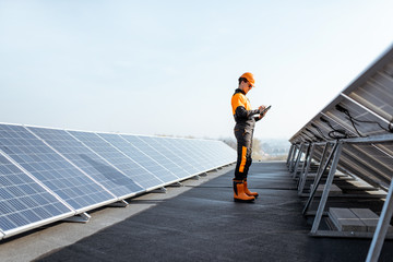 Wall Mural - engineer on a solar power plant