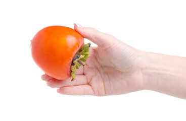 Wall Mural - Persimmon fruit fresh in hand isolated on white background