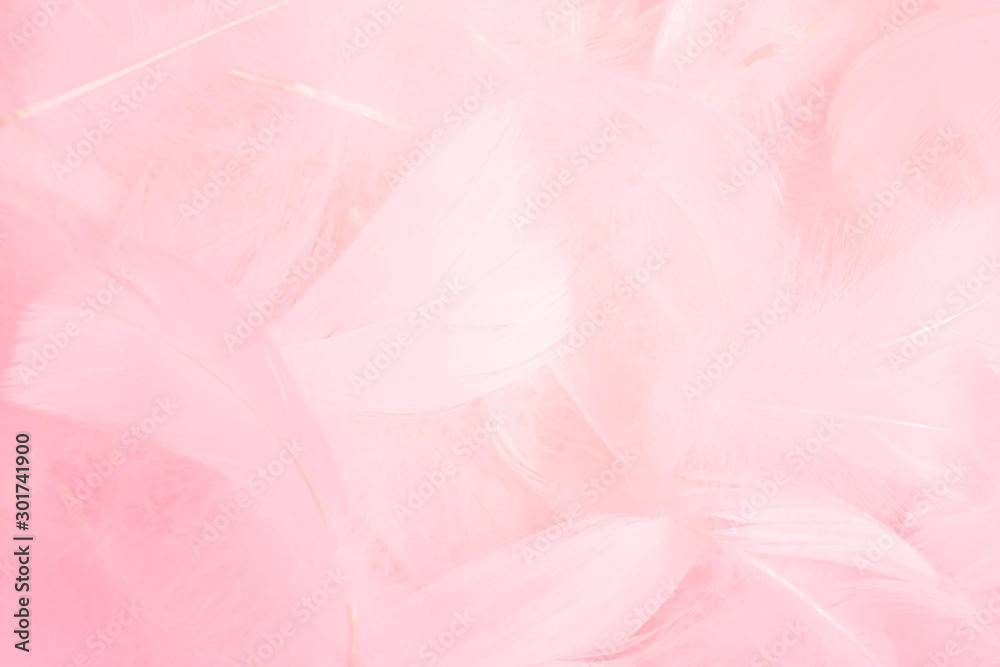 Soft pink feathers texture background.  - obrazy, fototapety, plakaty 
