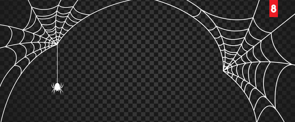 Wall Mural - halloween cobweb and spiders isolated on dark transparency background