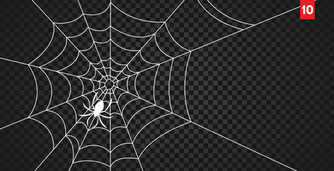 Wall Mural - halloween cobweb and spiders isolated on dark transparency background