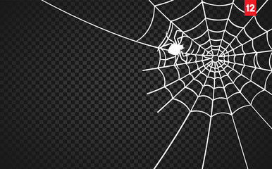 Wall Mural - halloween cobweb and spiders isolated on dark transparency background