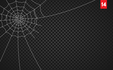 Wall Mural - halloween cobweb and spiders isolated on dark transparency background