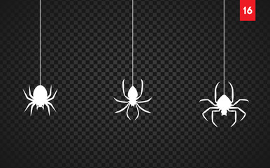 Wall Mural - spiders for decoration and covering on the transparent background. creepy background for halloween.