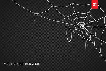 Wall Mural - halloween cobweb and spiders isolated on dark transparency background