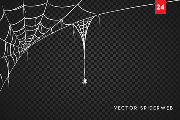 Wall Mural - halloween cobweb and spiders isolated on dark transparency background