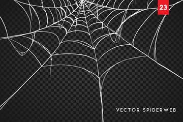 Wall Mural - halloween cobweb and spiders isolated on dark transparency background