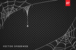 © Tornado design - Halloween cobweb and spiders isolated on dark transparency background