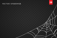 Halloween Cobweb And Spiders Isolated On Dark Transparency Background