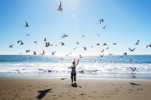 Happy And Free Boy On The Beach With Seagulls