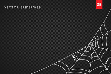 Wall Mural - halloween cobweb and spiders isolated on dark transparency background