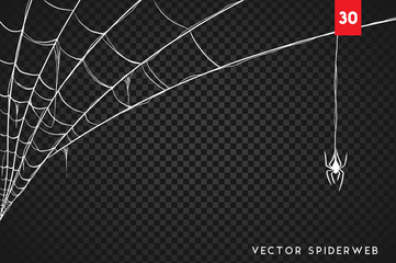 Wall Mural - halloween cobweb and spiders isolated on dark transparency background