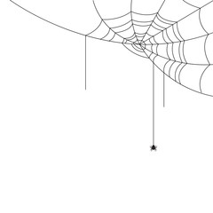 Wall Mural - halloween spider web and spiders isolated on white background