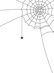 Wall Mural - halloween spider web and spiders isolated on white background