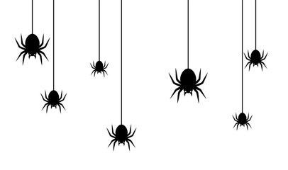 Wall Mural - spiders for decoration and covering on the transparent background. creepy background for halloween.