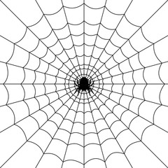 Wall Mural - Halloween spider web and spiders isolated on white background