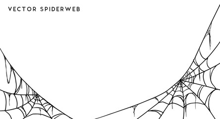 Wall Mural - halloween spider web and spiders isolated on white background