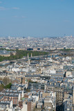 Fototapeta Paryż - panoramic view of Paris from a height