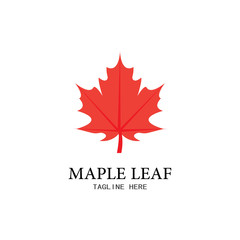 maple leaf vector illustration