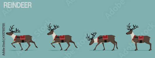 Fotografía Set of walking reindeer with Christmas theme decoration.