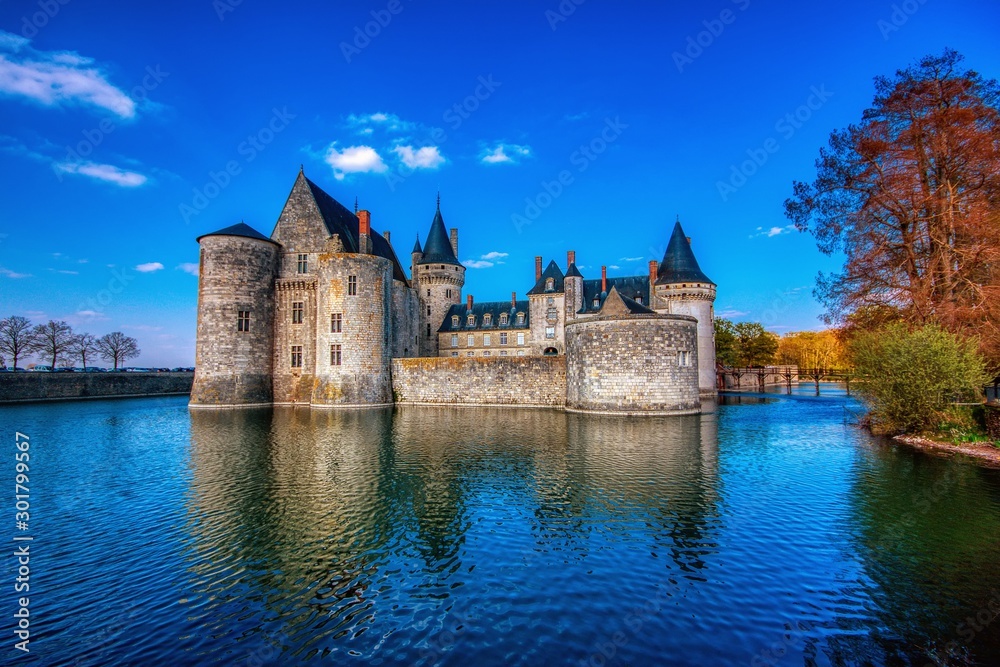 Famous medieval castle Sully sur Loire, Loire valley, France. - obrazy, fototapety, plakaty 
