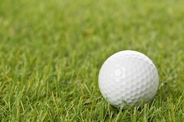 Poster - white golf ball on green grass lawn with copy space