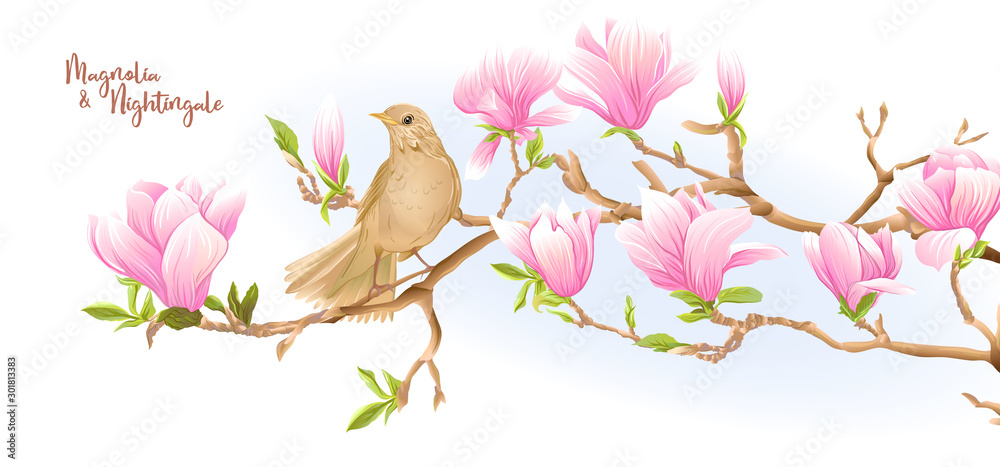 Vector de Stock Magnolia tree branch with flowers and nightingale ...