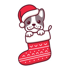 Canvas Print - Dog in Christmas sock